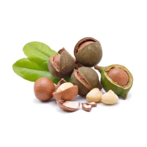 Macadamia Nut